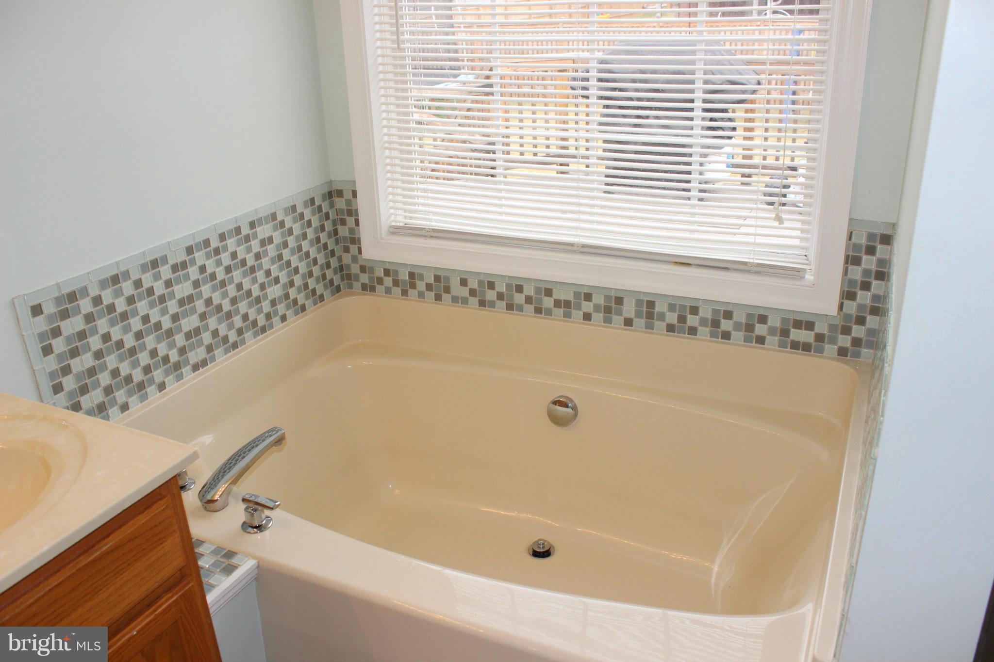 60 Jack Rabbit Lane Ranson, WV 25438 - Photo 14 of 24 Bath (Master)