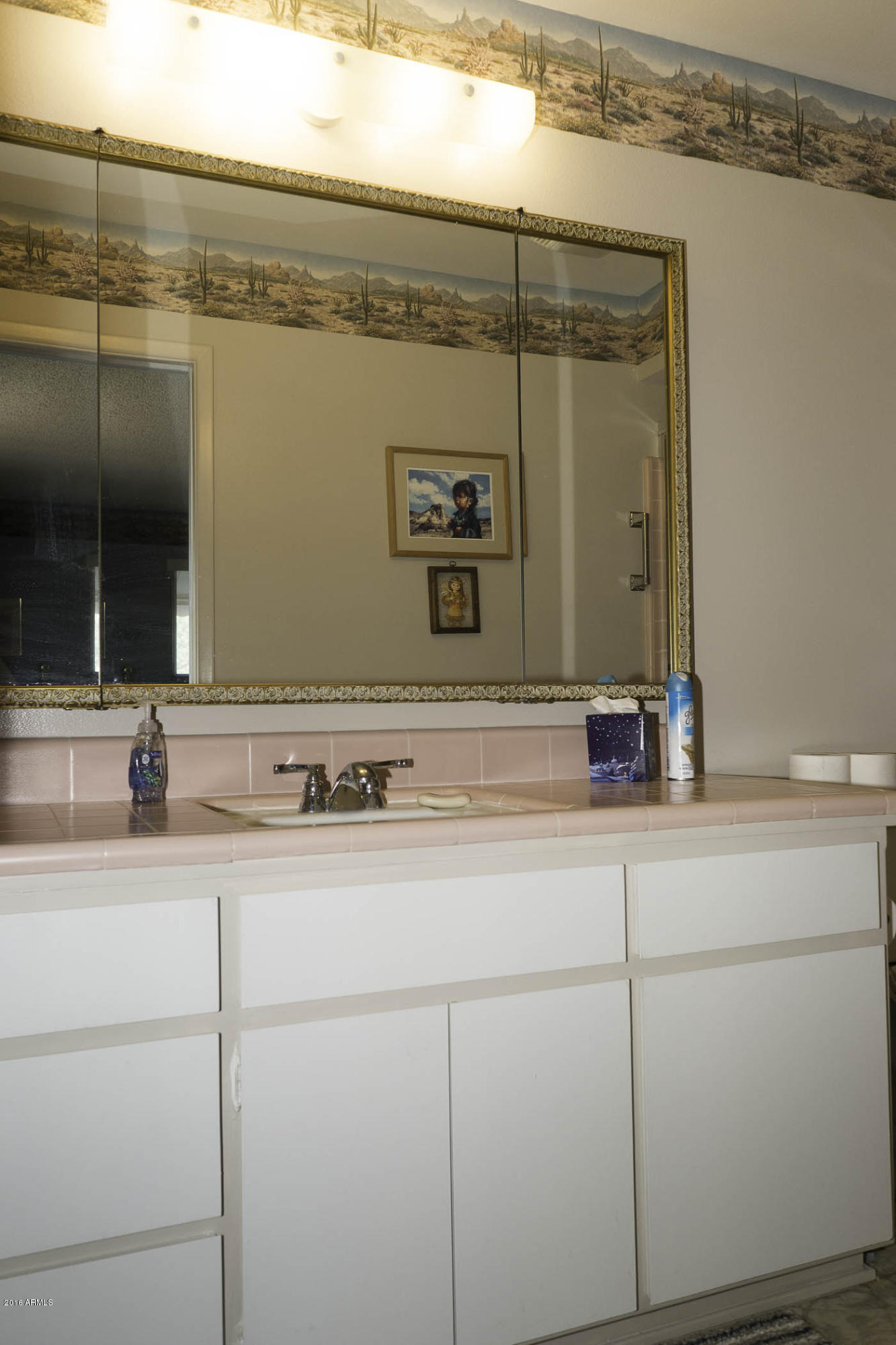 6157 East Decatur Street Mesa, AZ 85205 - Photo 18 of 25 Master Bathroom