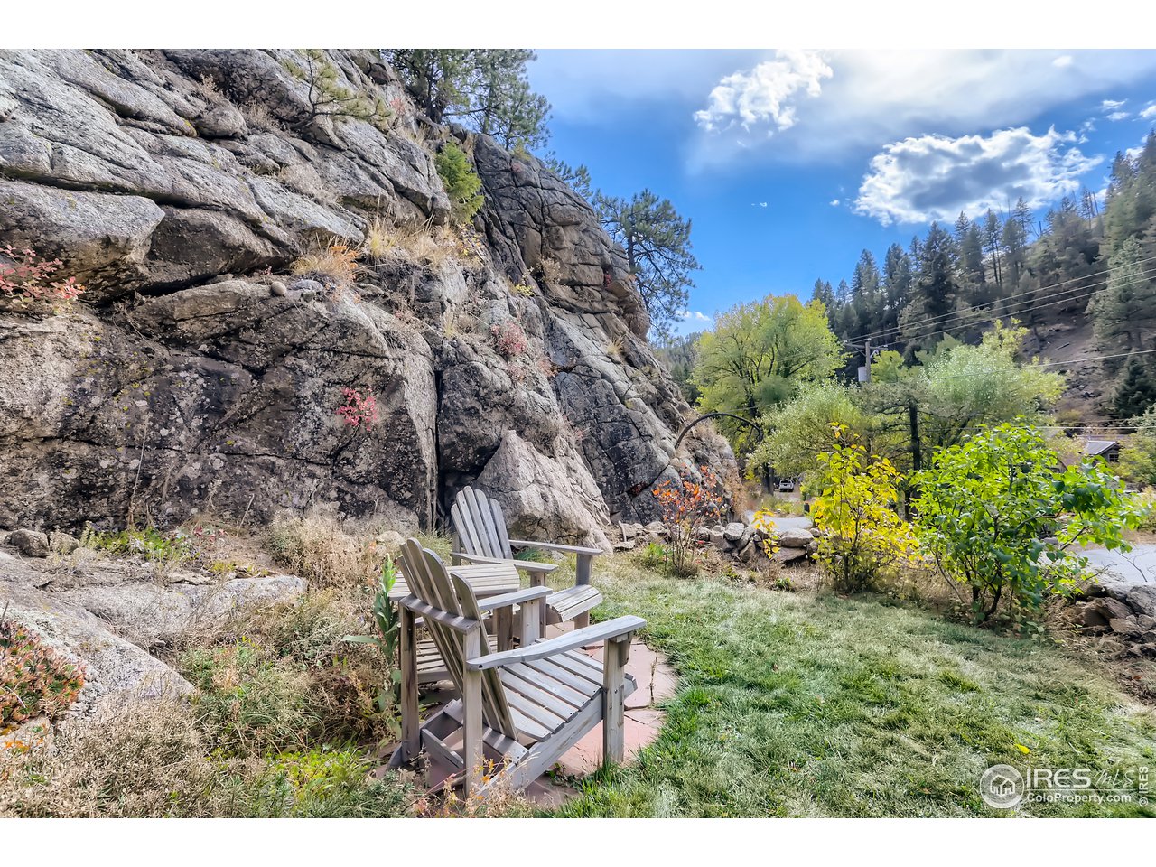 270 Gold Run Road Boulder, CO 80302 - Photo 26 of 28 Side yard