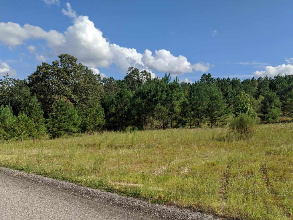 Lot 13 Riding Ridge Court Aiken, SC 29801 - Photo 1 of 4