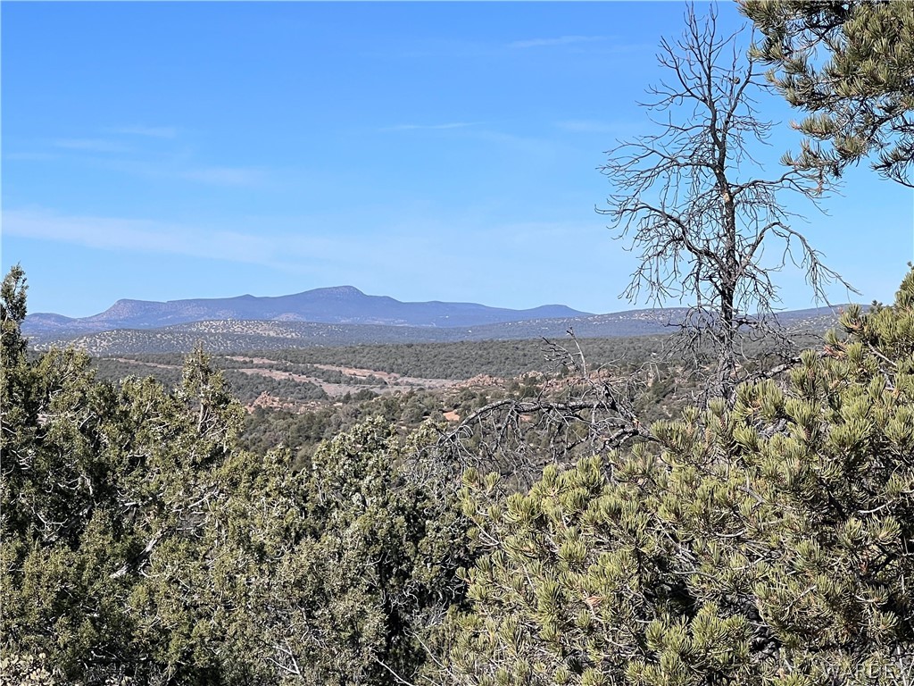 3 Cross Mountain Road Seligman, AZ 86337 - Photo 16 of 39 View