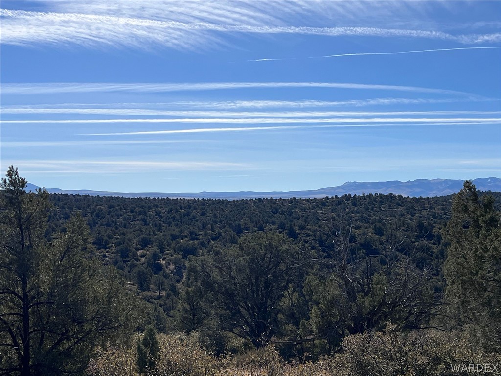 3 Cross Mountain Road Seligman, AZ 86337 - Photo 17 of 39 View
