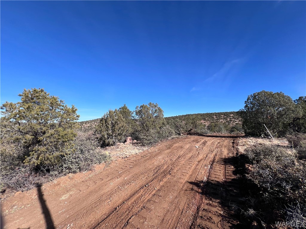 3 Cross Mountain Road Seligman, AZ 86337 - Photo 18 of 39 Other
