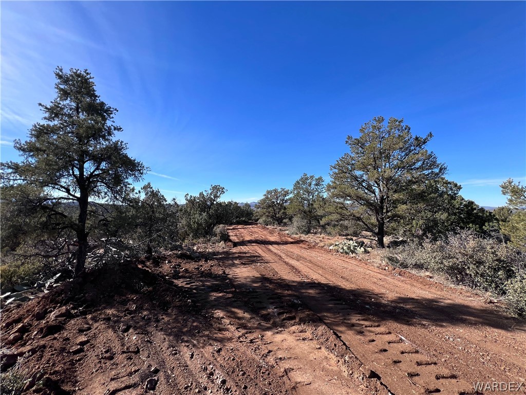 3 Cross Mountain Road Seligman, AZ 86337 - Photo 19 of 39 Community