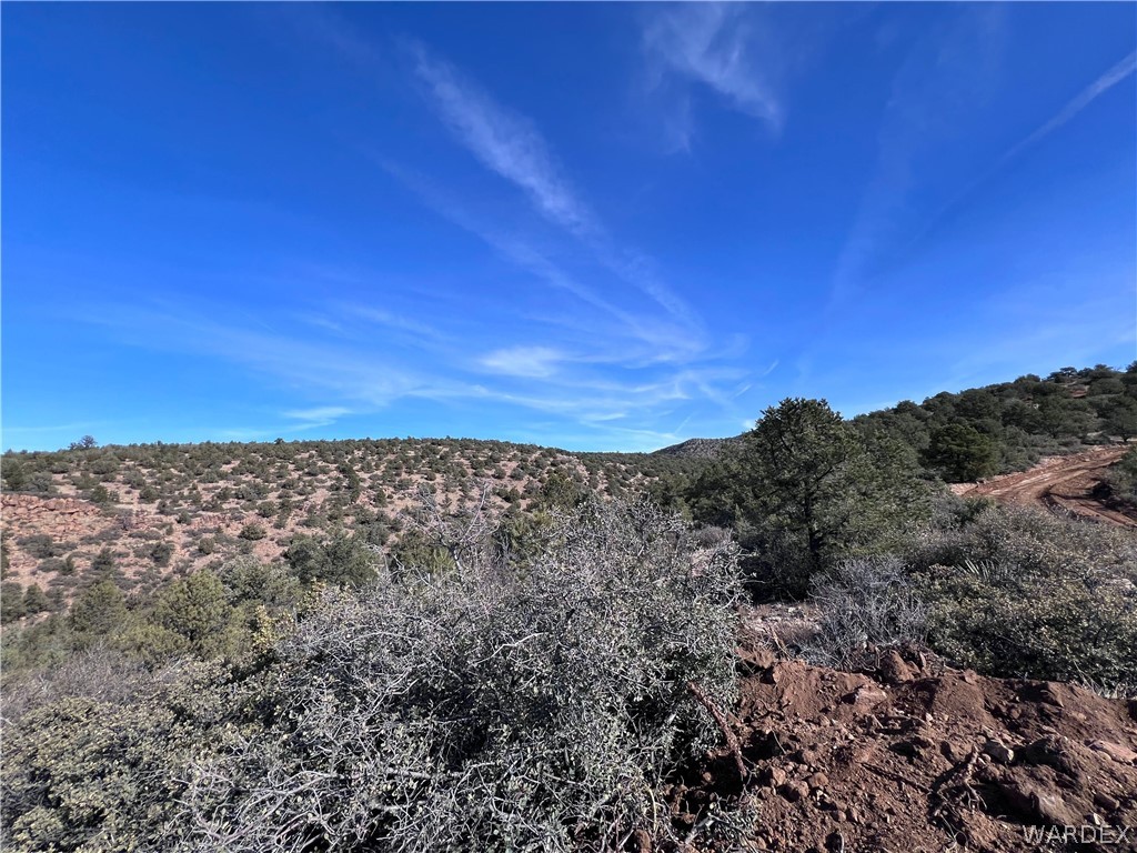 3 Cross Mountain Road Seligman, AZ 86337 - Photo 23 of 39 View