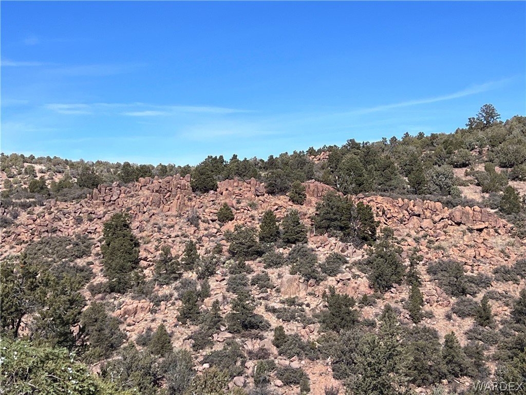 3 Cross Mountain Road Seligman, AZ 86337 - Photo 24 of 39 Other
