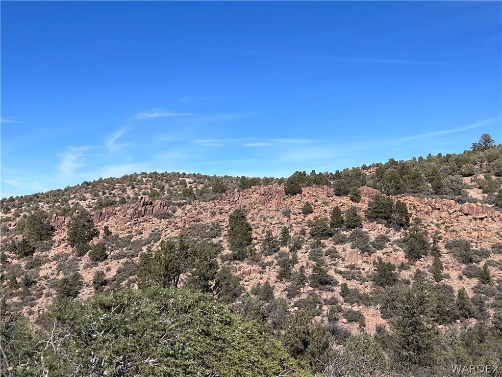 3 Cross Mountain Road Seligman, AZ 86337 - Photo 26 of 39 View