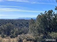 3 Cross Mountain Road Seligman, AZ 86337 - Photo 8 of 39 View