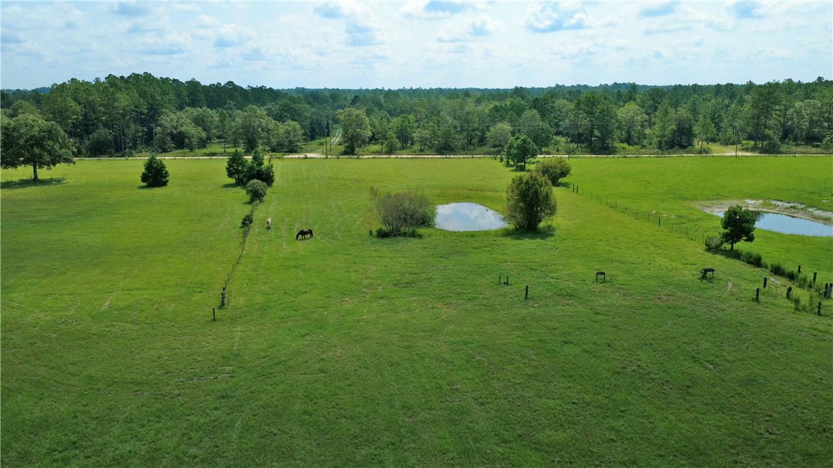 91 Cane Circle Nahunta, GA 31553 - Photo 11 of 70