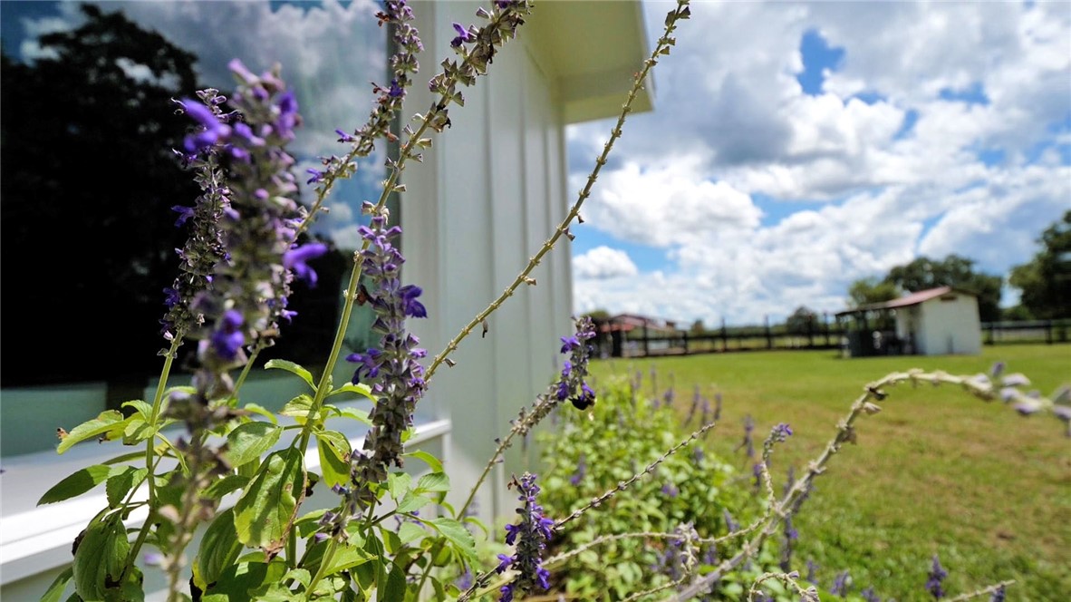 91 Cane Circle Nahunta, GA 31553 - Photo 12 of 70