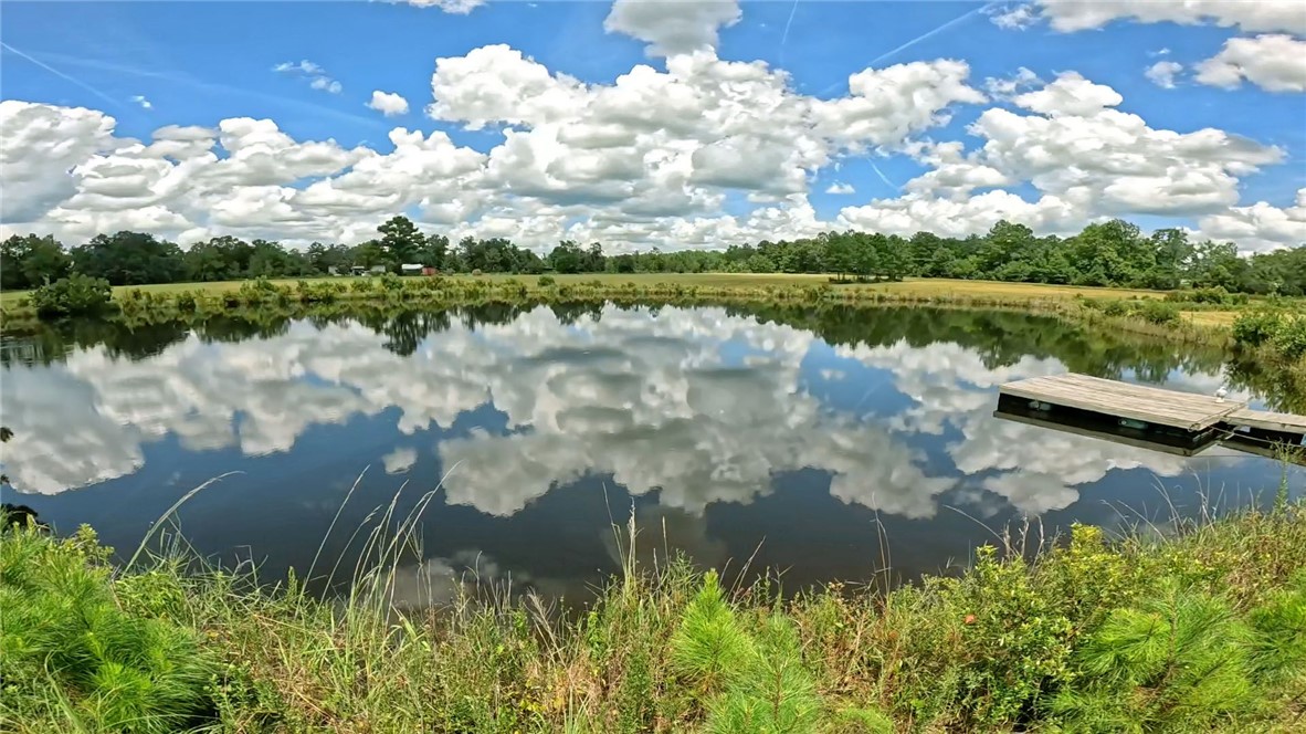 91 Cane Circle Nahunta, GA 31553 - Photo 3 of 70