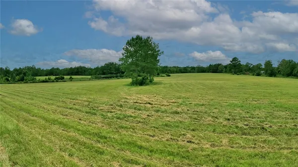 $1,199,999 | 91 Cane Circle, Nahunta, GA 31553