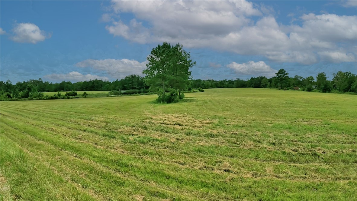 91 Cane Circle Nahunta, GA 31553 - Photo 57 of 70