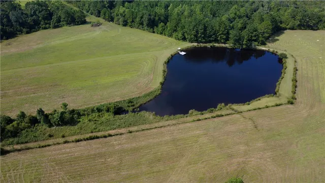 $1,199,999 | 91 Cane Circle, Nahunta, GA 31553