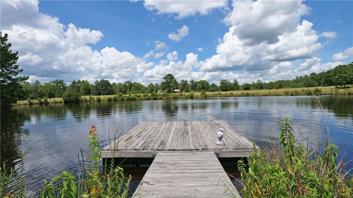 91 Cane Circle Nahunta, GA 31553 - Photo 59 of 70