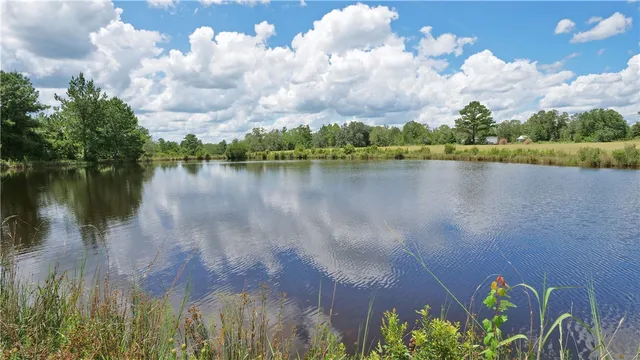 $1,199,999 | 91 Cane Circle, Nahunta, GA 31553