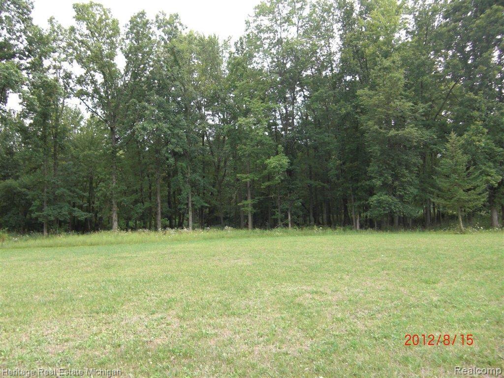 4974 East Columbia Road Webberville, MI 48892 - Photo 15 of 16 property
