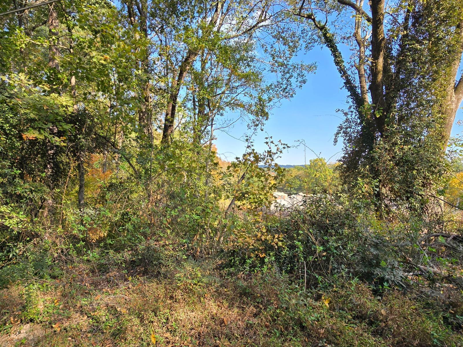 204 South High Street LaFayette, GA 30728 - Photo 4 of 5 20241025_152342