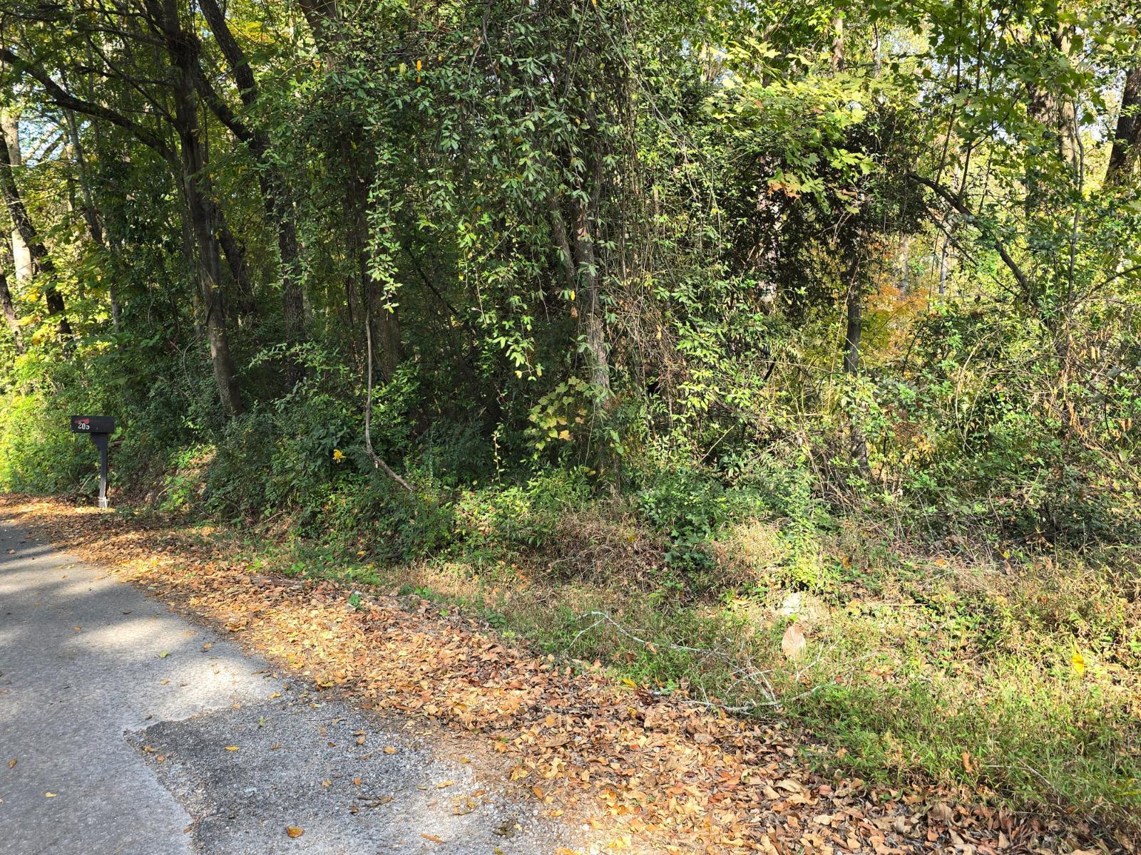 204 South High Street LaFayette, GA 30728 - Photo 5 of 5 20241025_152210