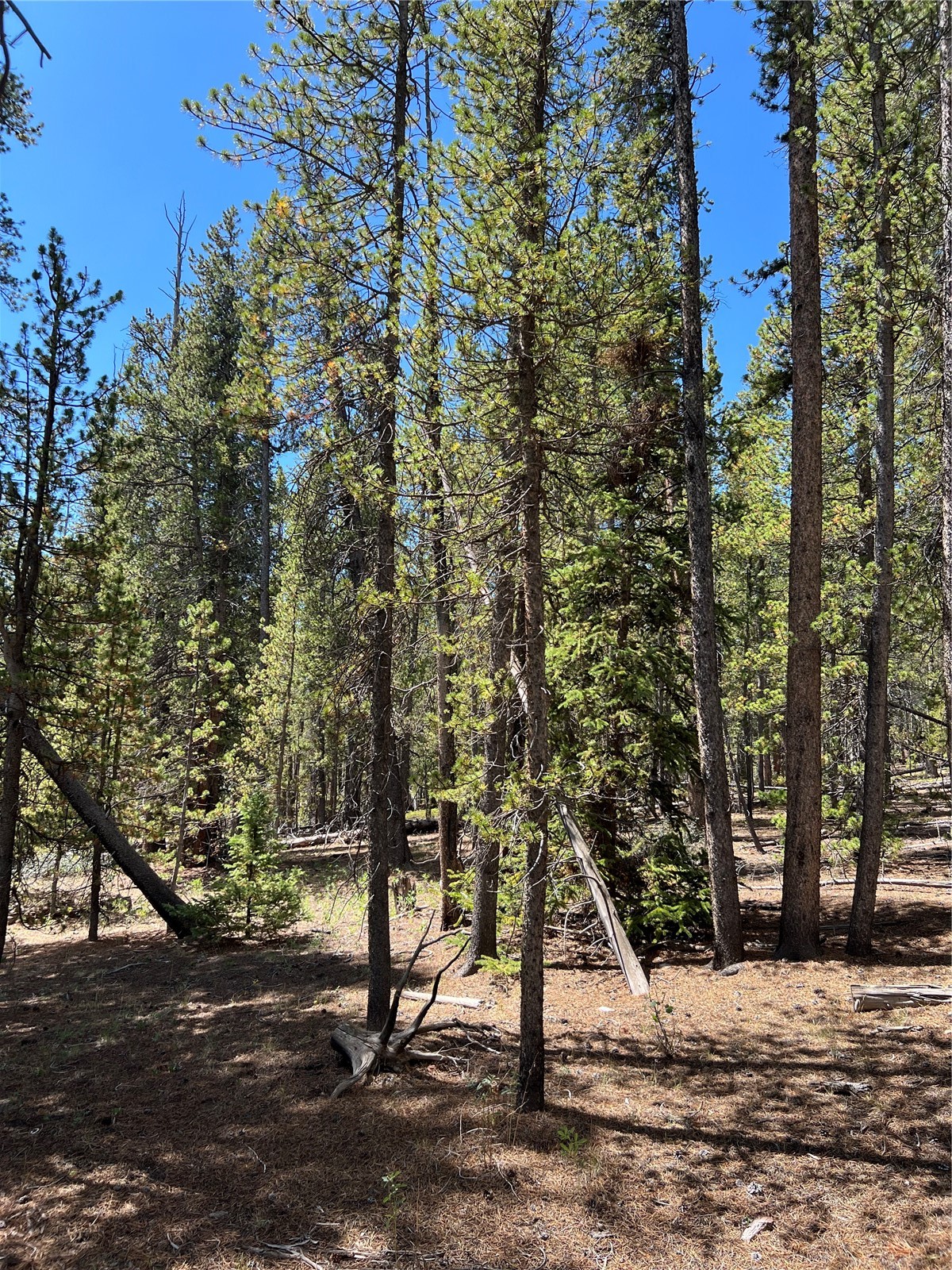 163 Co Road Fairplay, CO 80440 - Photo 10 of 12