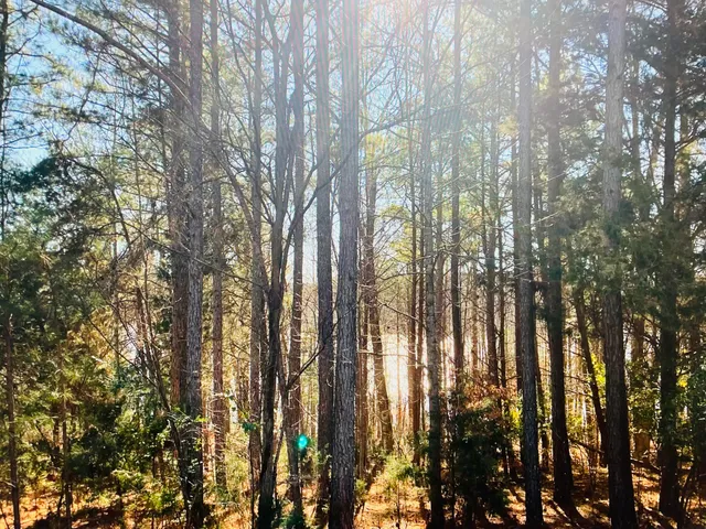 $59,000 | Lot 5 Falcon Ridge Drive, Gretna, VA 24557