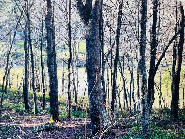 $59,000 | Lot 5 Falcon Ridge Drive, Gretna, VA 24557