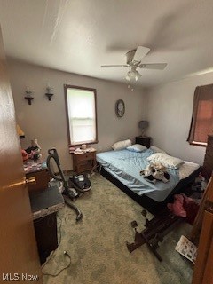 5806 Risher Road Leavittsburg, OH 44430 - Photo 13 of 18 Bedroom featuring carpet flooring and ceiling fan