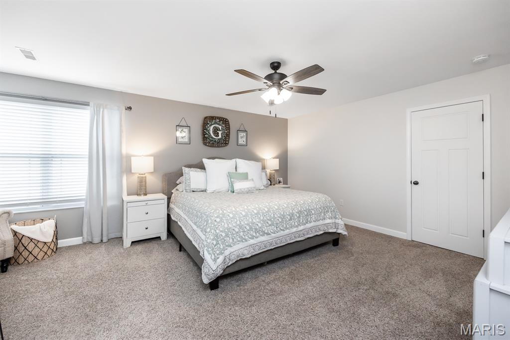 1323 Arbor Green Trail O'Fallon, IL 62269 - Photo 17 of 39