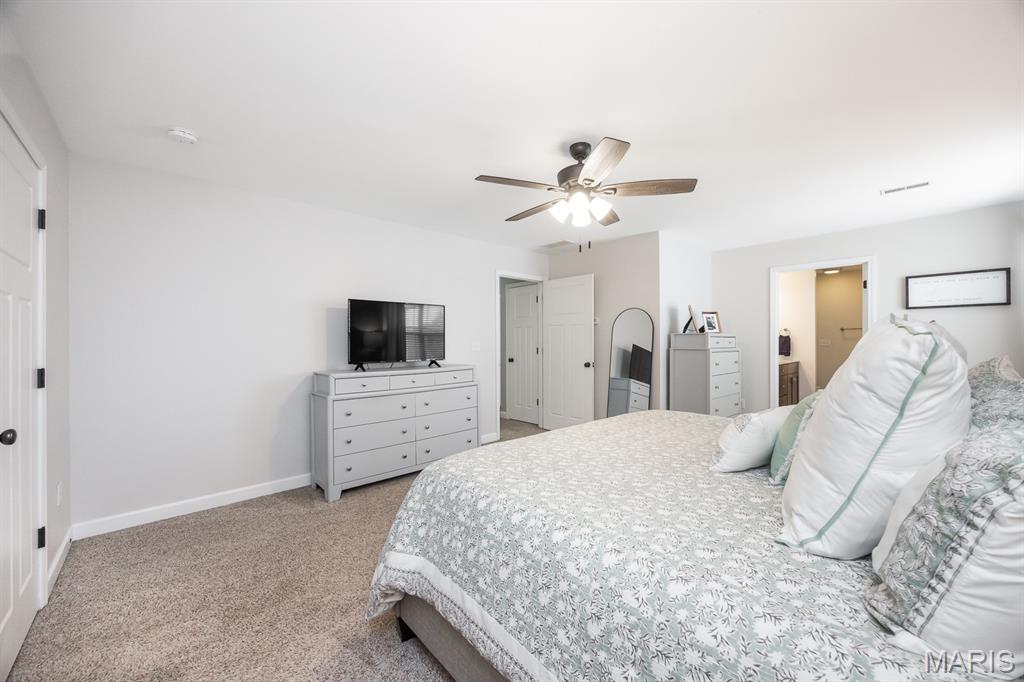 1323 Arbor Green Trail O'Fallon, IL 62269 - Photo 18 of 39