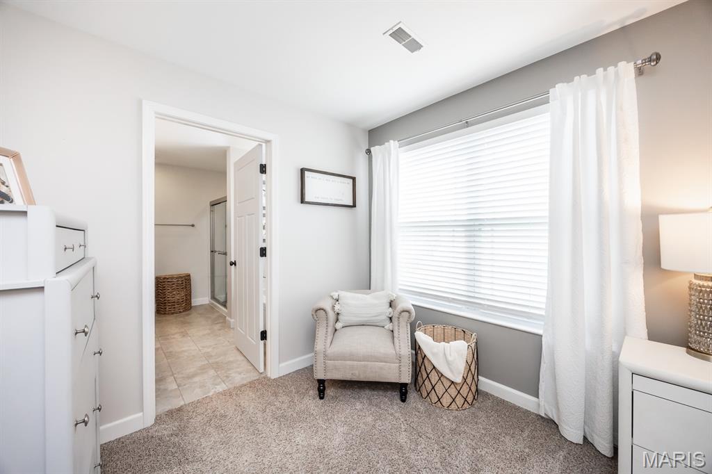 1323 Arbor Green Trail O'Fallon, IL 62269 - Photo 19 of 39