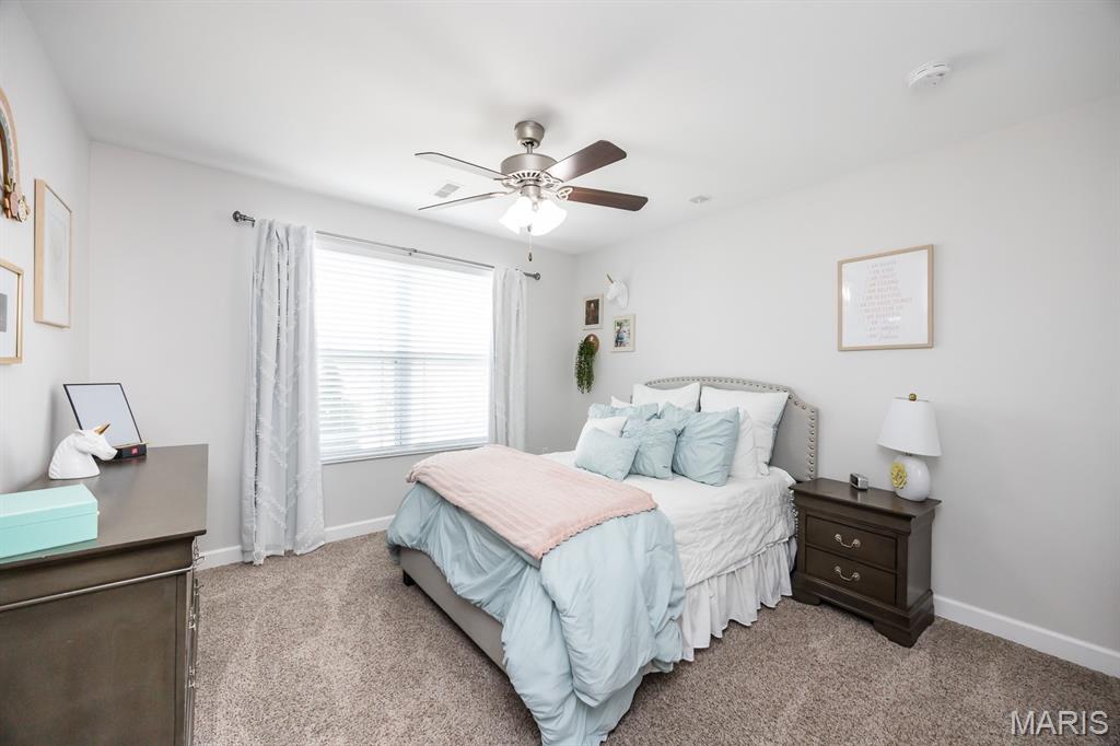 1323 Arbor Green Trail O'Fallon, IL 62269 - Photo 23 of 39