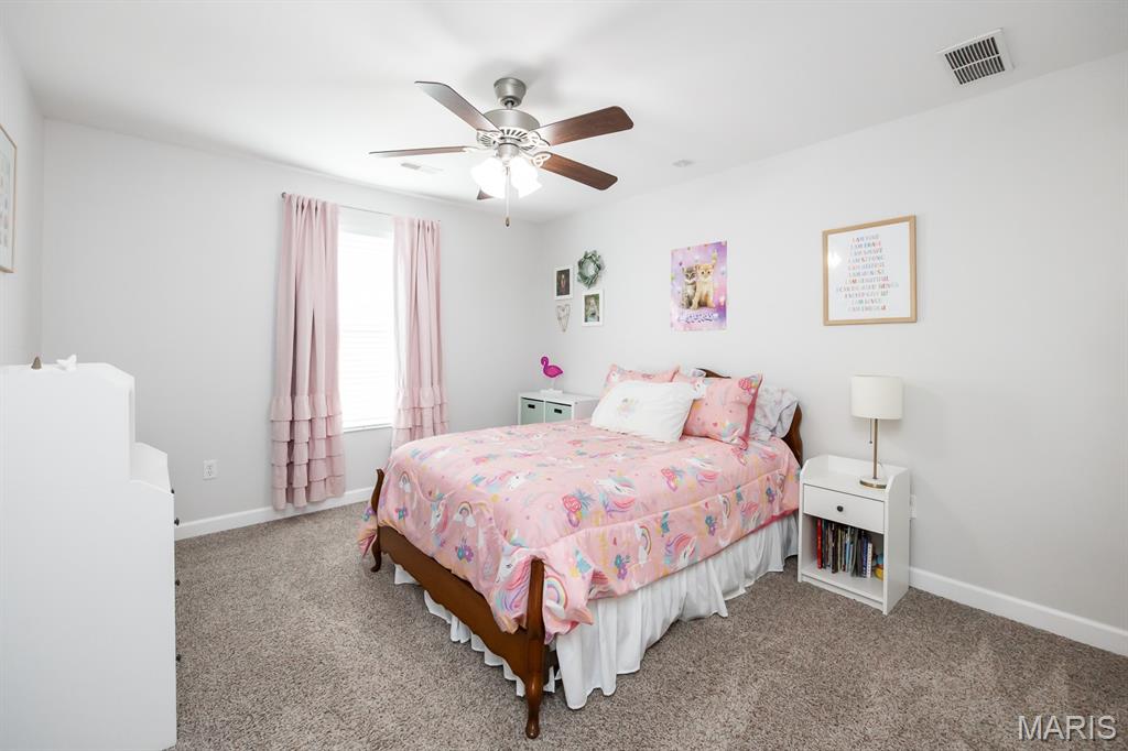 1323 Arbor Green Trail O'Fallon, IL 62269 - Photo 26 of 39