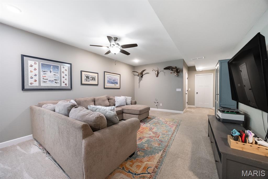 1323 Arbor Green Trail O'Fallon, IL 62269 - Photo 29 of 39