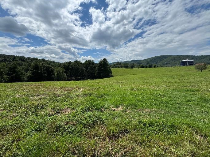 Tbd Pleasantview Road Austinville, VA 24312 - Photo 19 of 25 Gallery Image 19