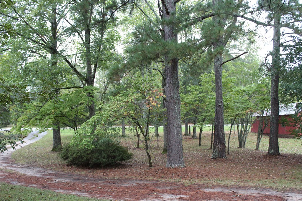 725 Lexington Road Washington, GA 30673 - Photo 3 of 21