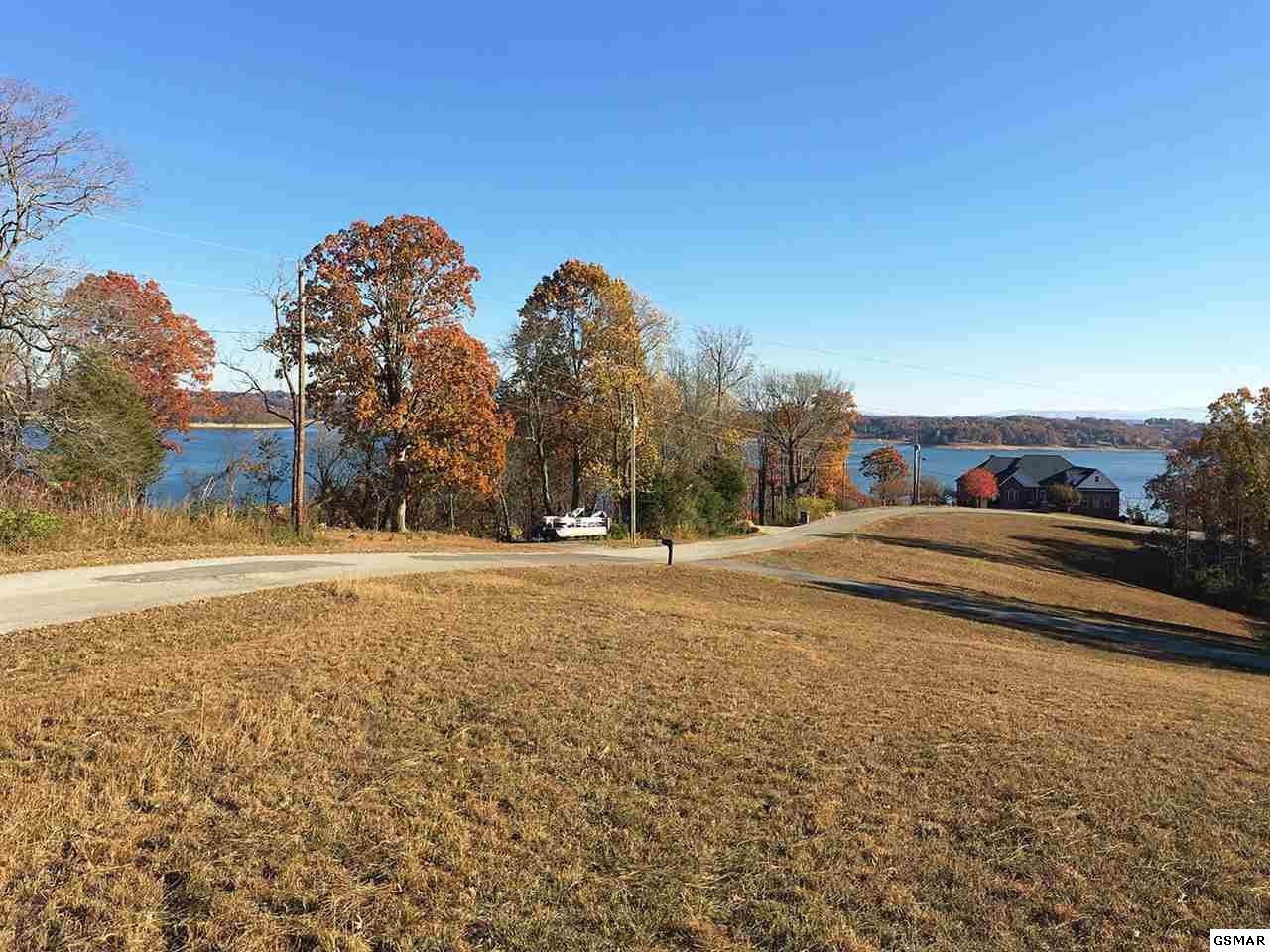 12 Alberts Cove Rutledge, TN 37861 - Photo 2 of 12