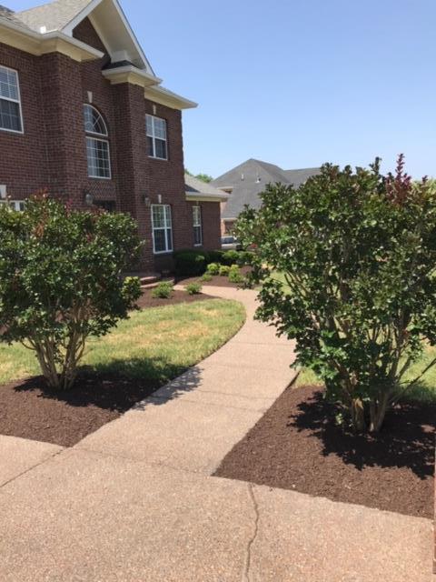 5808 Chaseview Road Nashville, TN 37221 - Photo 3 of 30 Gallery Image 3