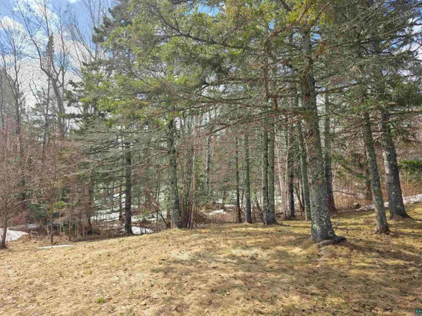 $80,000 | 1431 Press Camp Road, Two Harbors, MN 55616