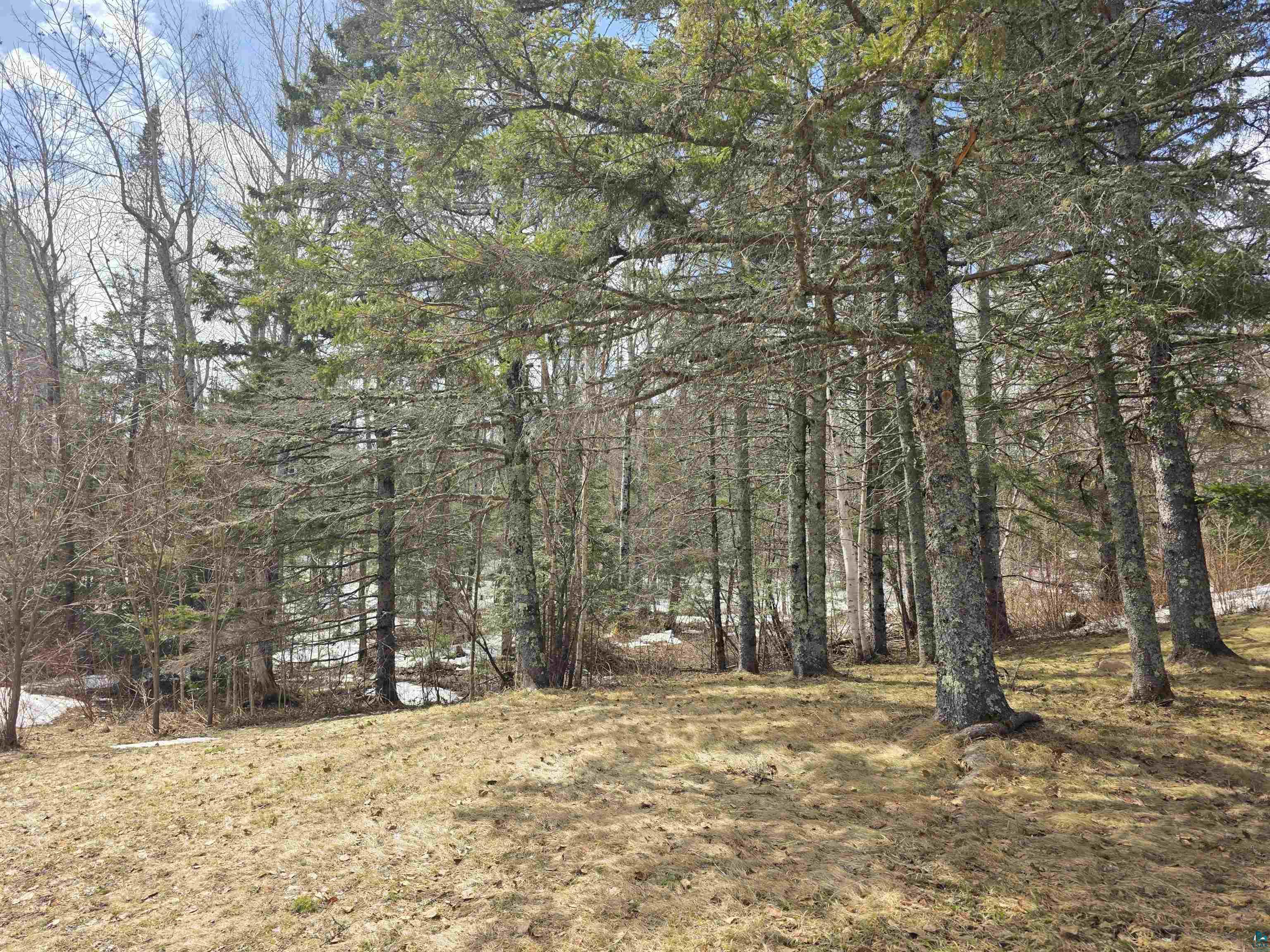 1431 Press Camp Road Two Harbors, MN 55616 - Photo 2 of 19