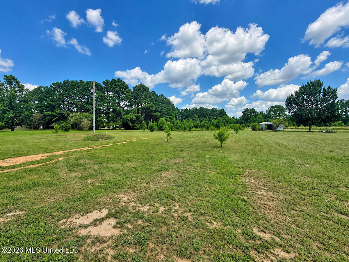 1113 Holland Road Lucedale, MS 39452 - Photo 25 of 26 6
