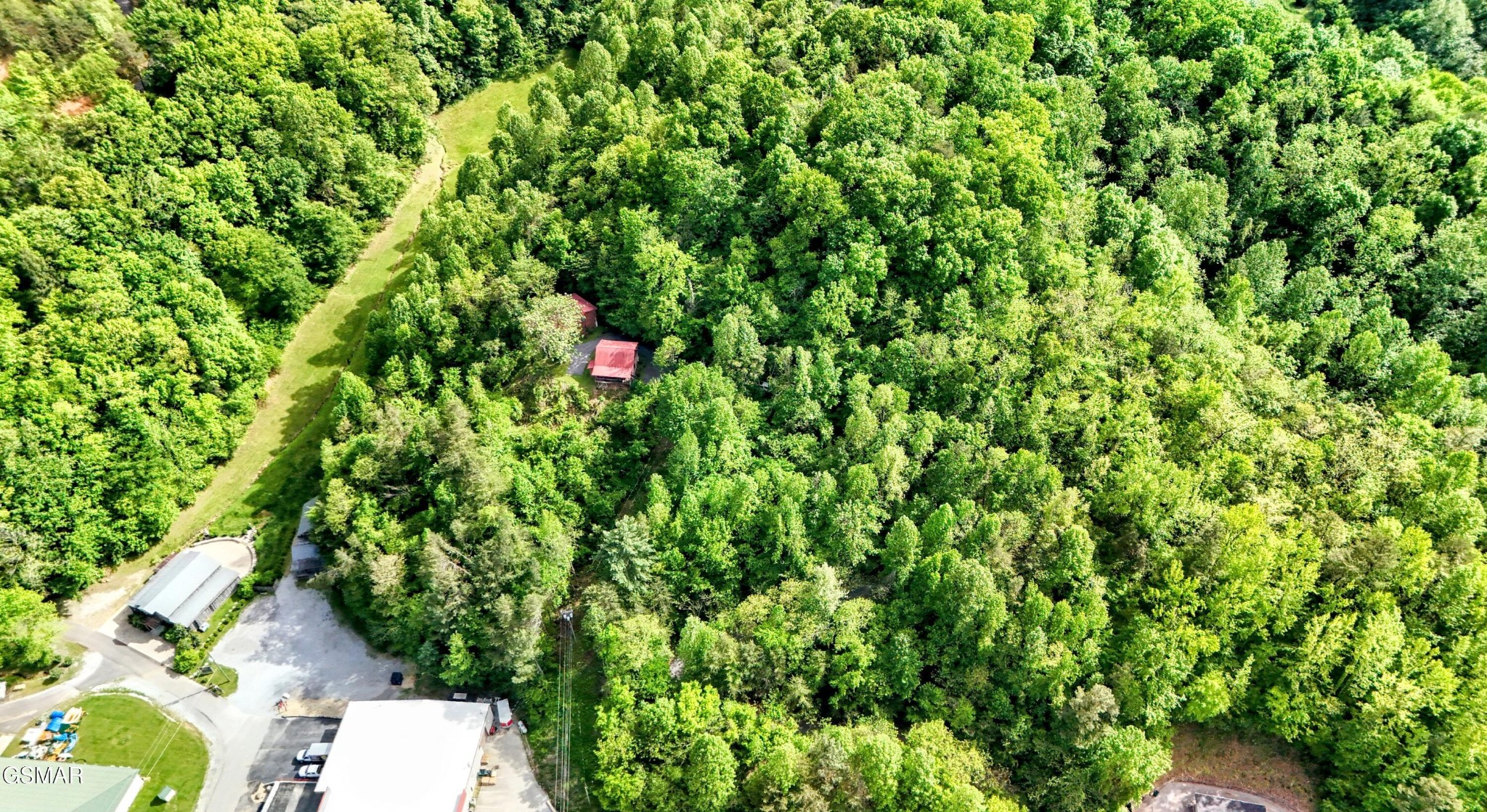 2570 Pittman Center Road Sevierville, TN 37876 - Photo 59 of 61 a backyard of a house with lots of green space
