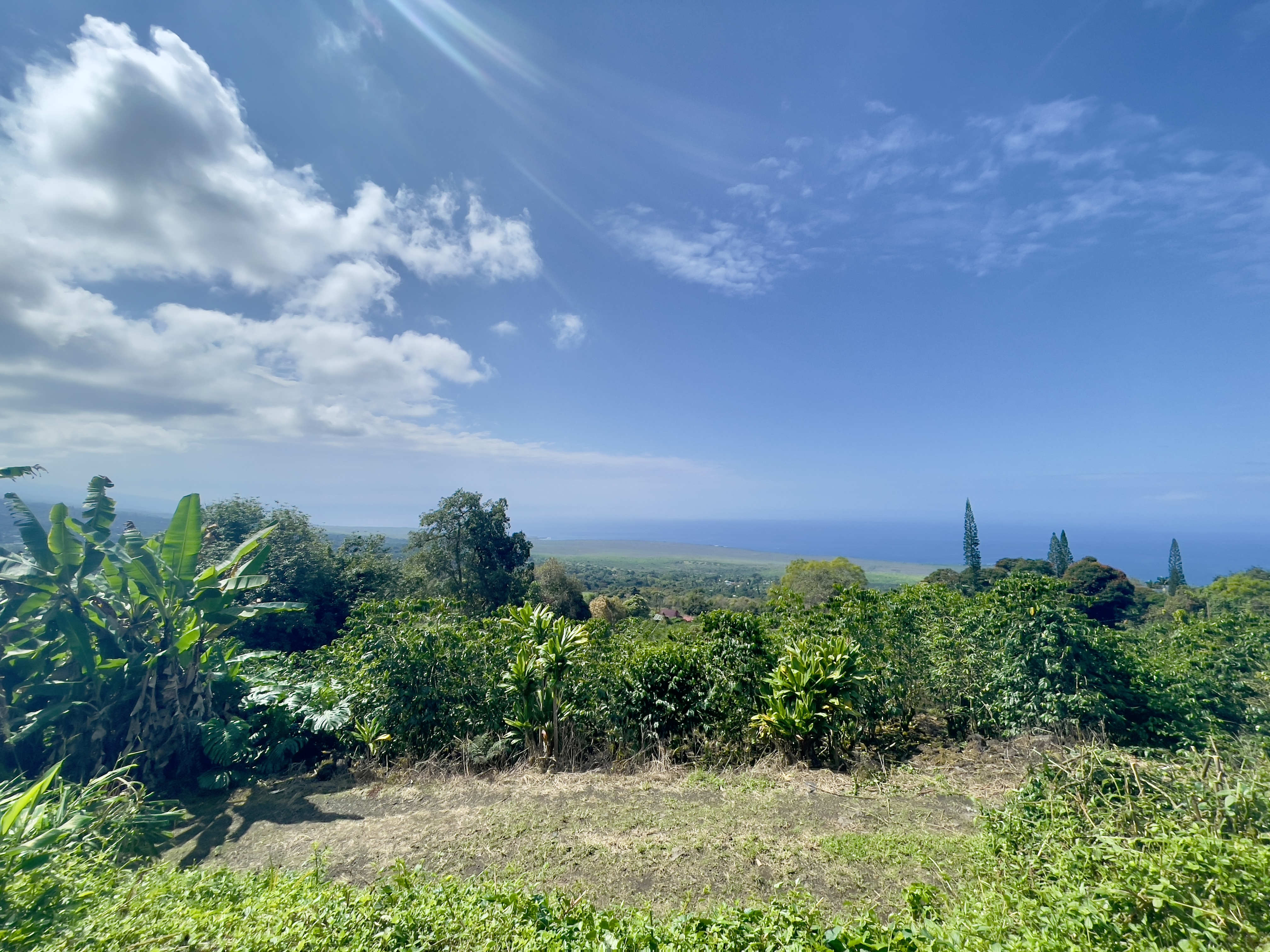83-5586 Hawaiʻi Belt Road Captain Cook, HI 96704 - Photo 16 of 23 a night view of a garden