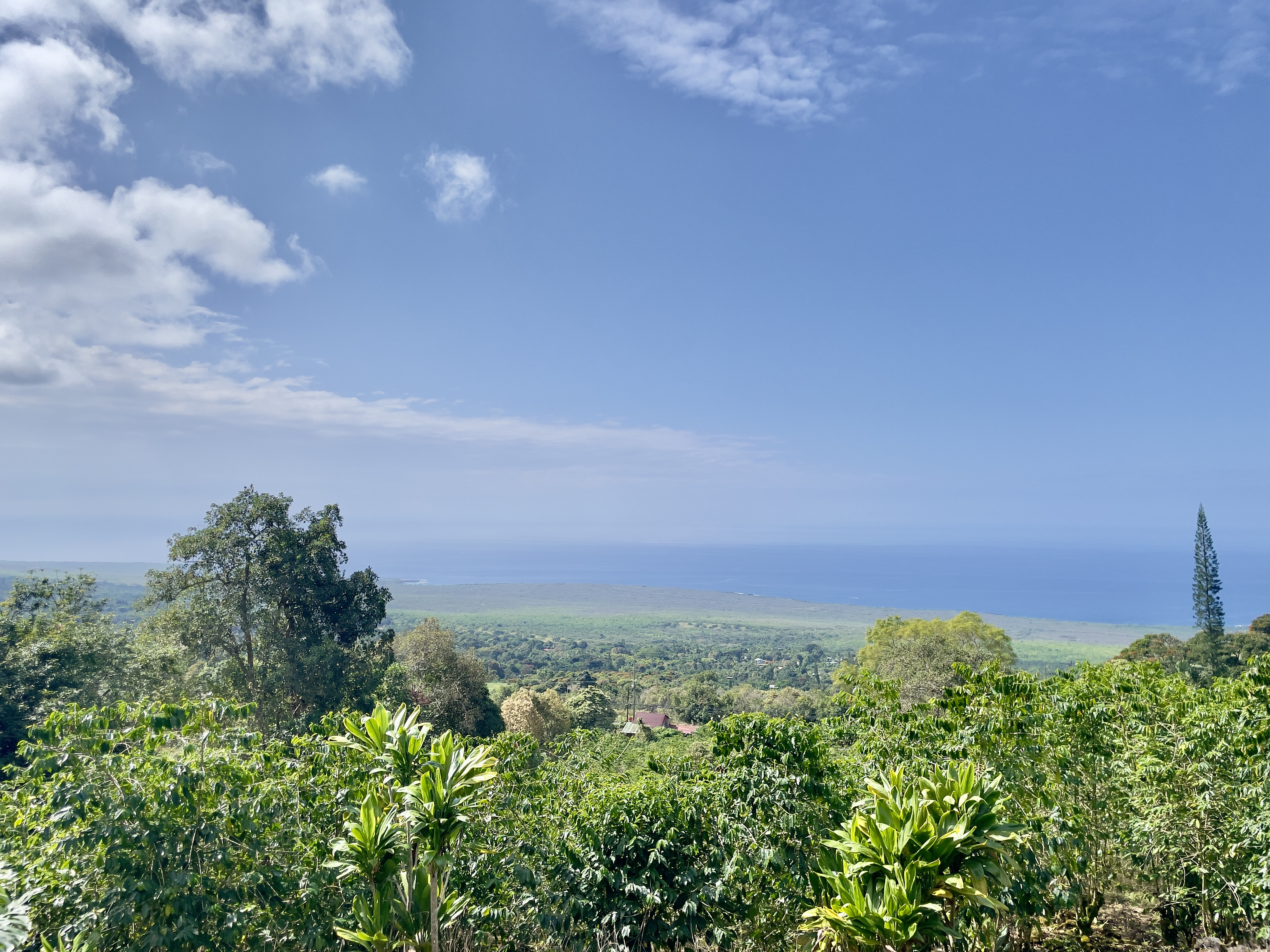 83-5586 Hawaiʻi Belt Road Captain Cook, HI 96704 - Photo 2 of 23 a view of a large building