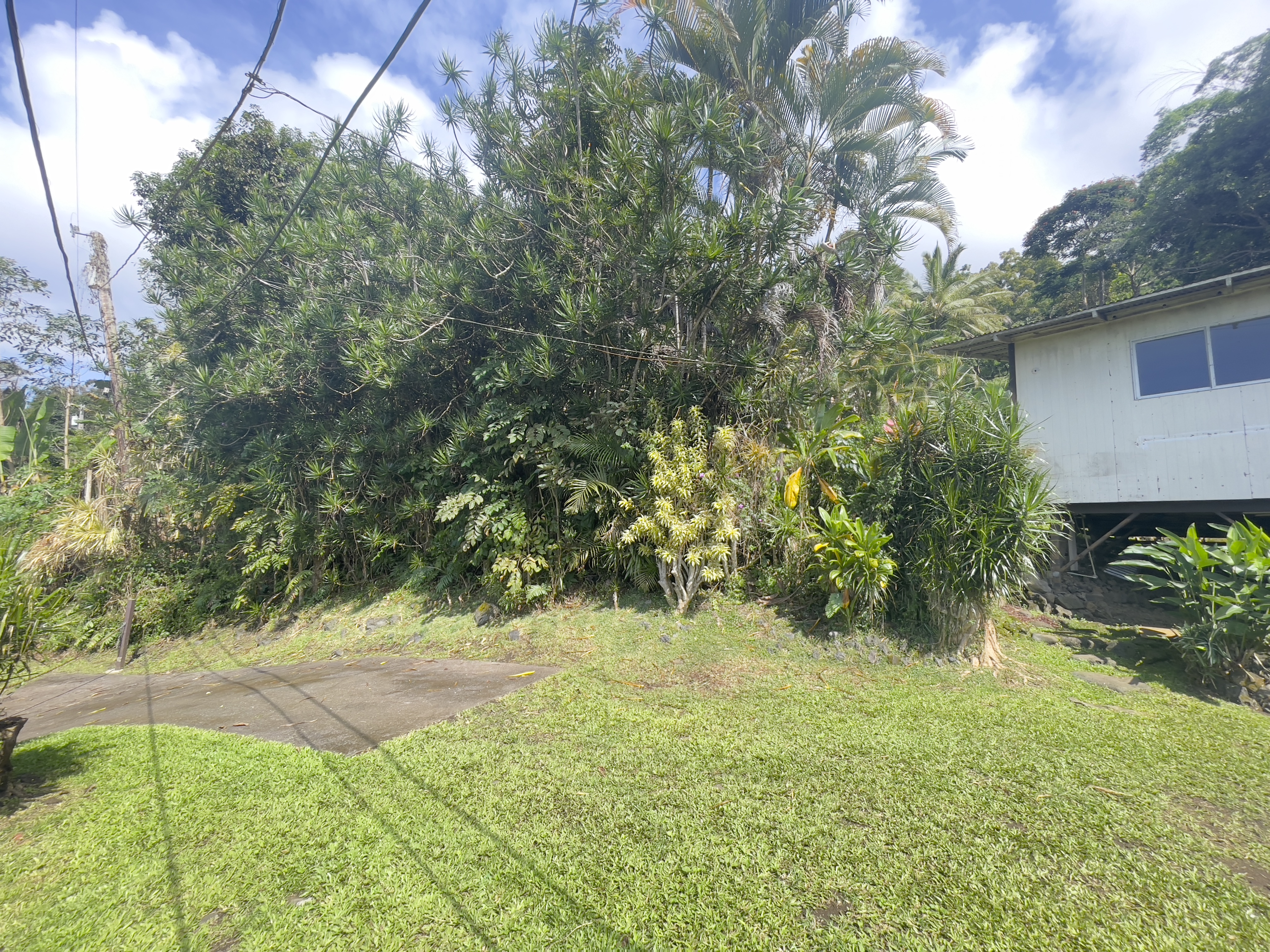 83-5586 Hawaiʻi Belt Road Captain Cook, HI 96704 - Photo 23 of 23 a view of backyard with green space