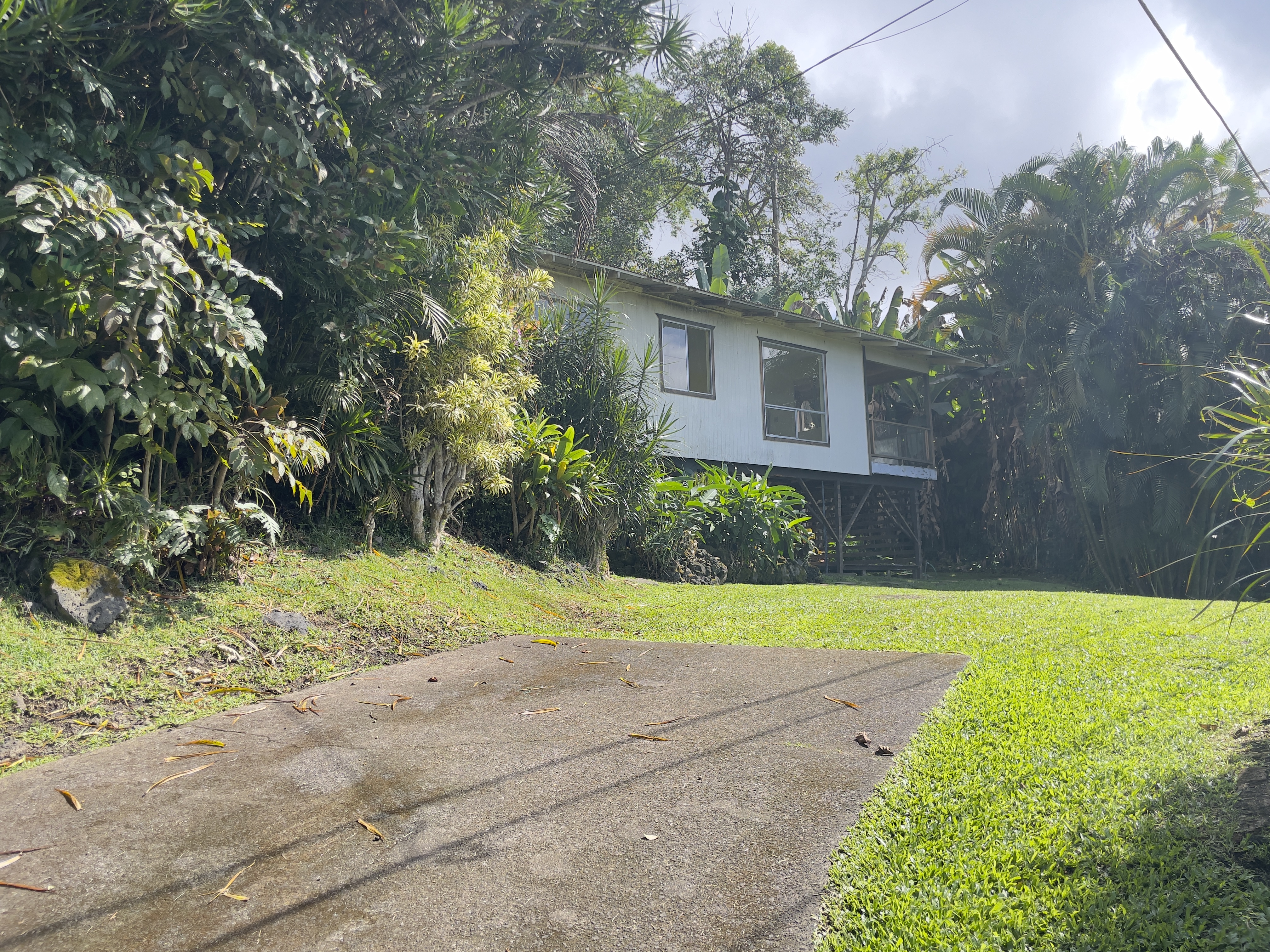 83-5586 Hawaiʻi Belt Road Captain Cook, HI 96704 - Photo 3 of 23 a view of back yard of the house