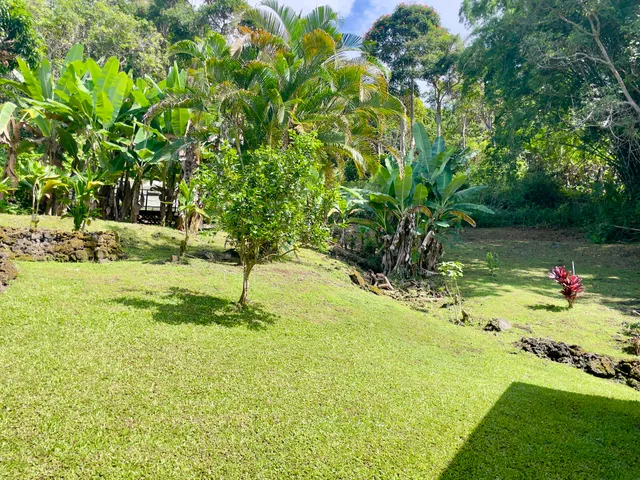 a backyard of a house with a yard and swimming pool