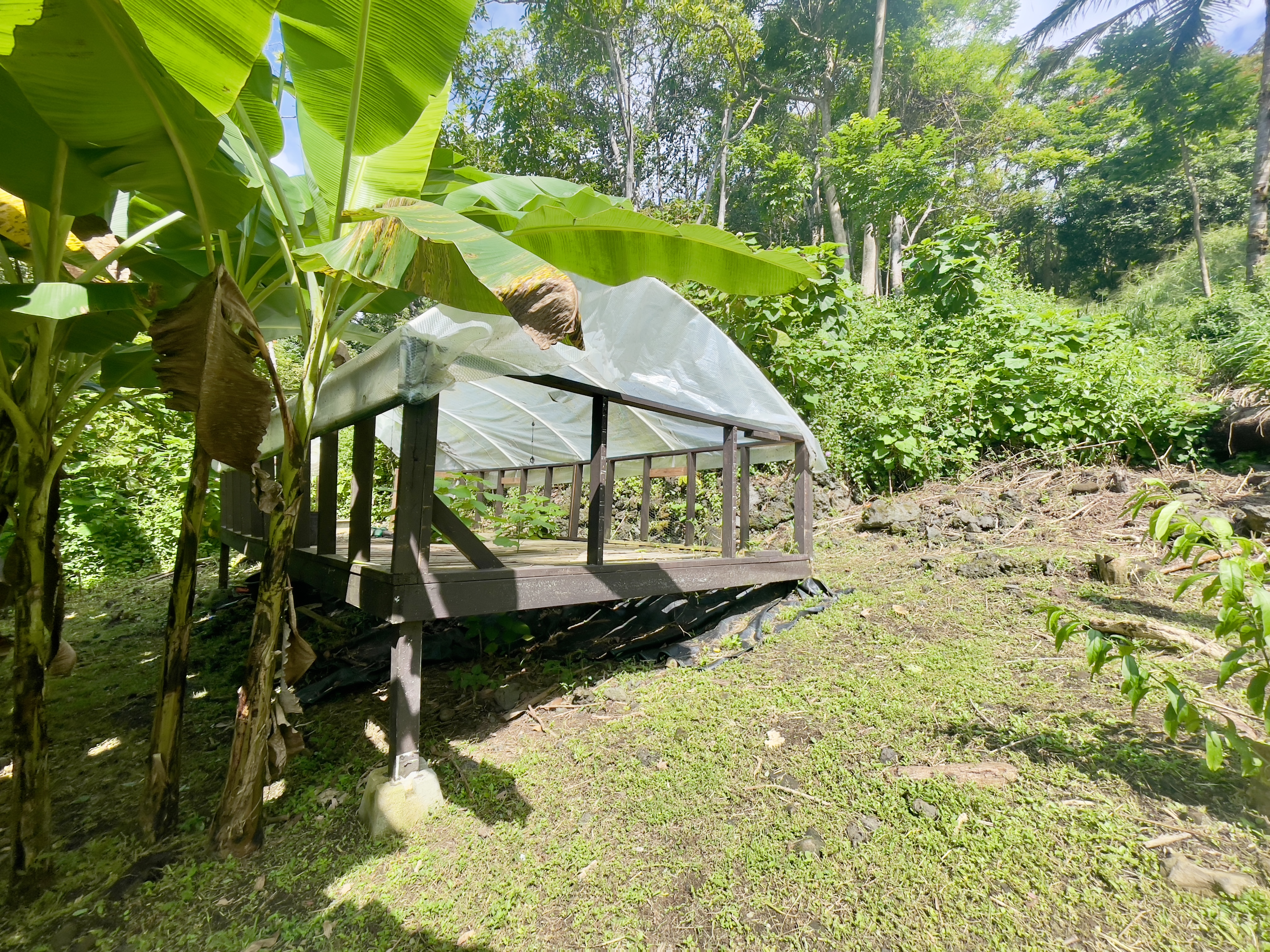 83-5586 Hawaiʻi Belt Road Captain Cook, HI 96704 - Photo 7 of 23 a garden view with a lake view