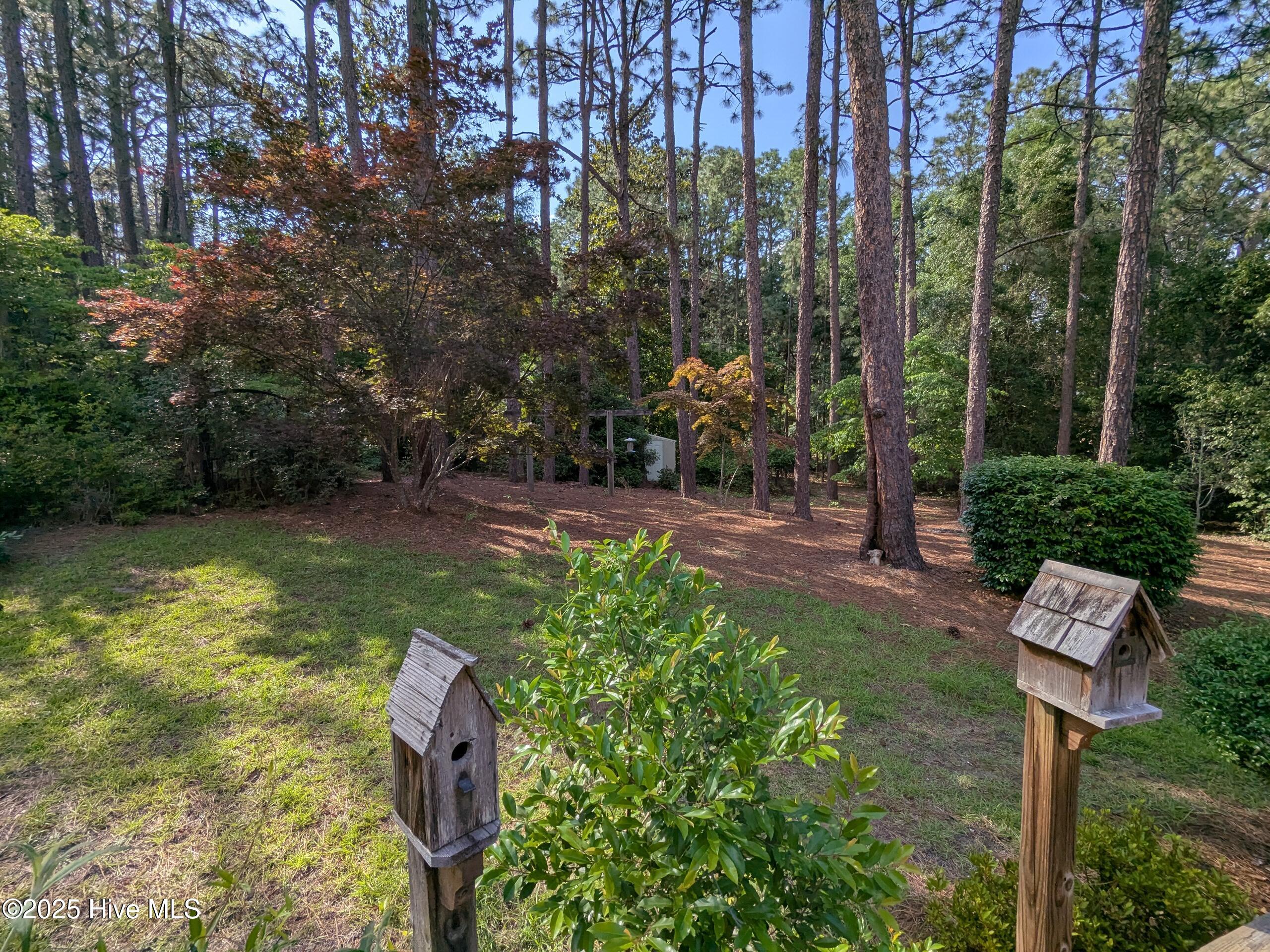 190 Grove Road Southern Pines, NC 28387 - Photo 3 of 24 Back Yard