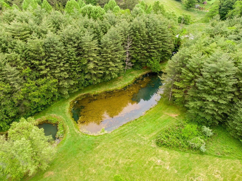 227 Dutton Hollow Road Rural Retreat, VA 24368 - Photo 18 of 81 Gallery Image 18