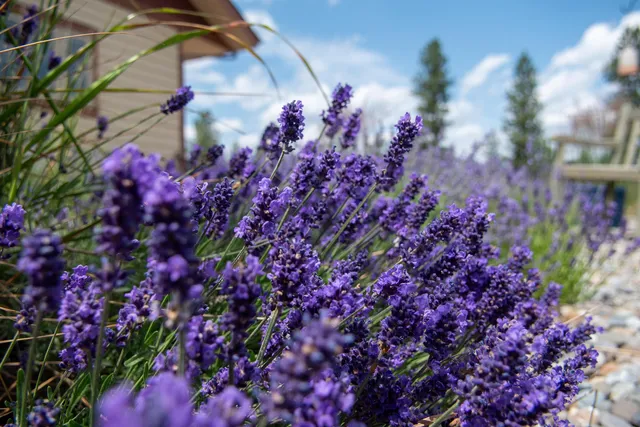 $820,000 | 9724 South Darknell Road, Valleyford, WA 99036